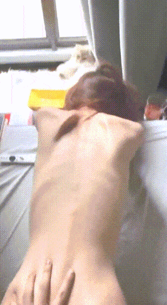 2.gif