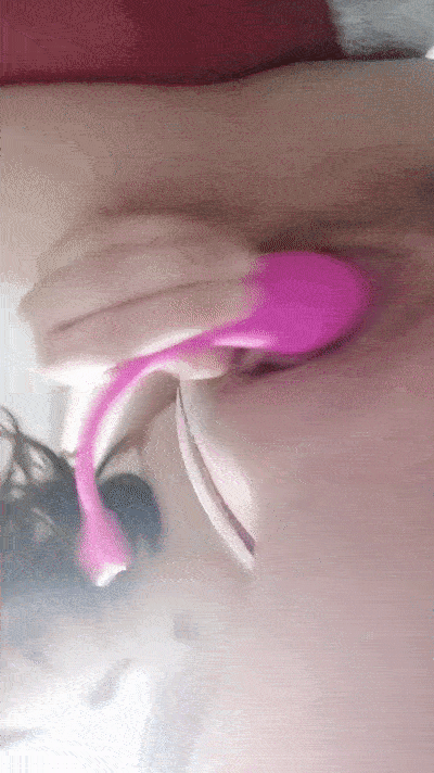 5.gif