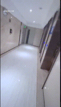 6.gif