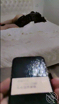 2.gif
