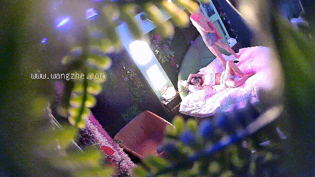 2.gif