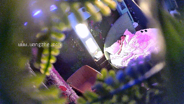 3.gif