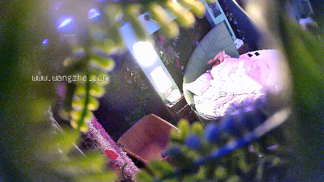 4.gif