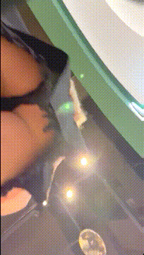 12.gif