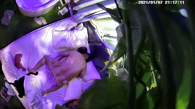 2.gif