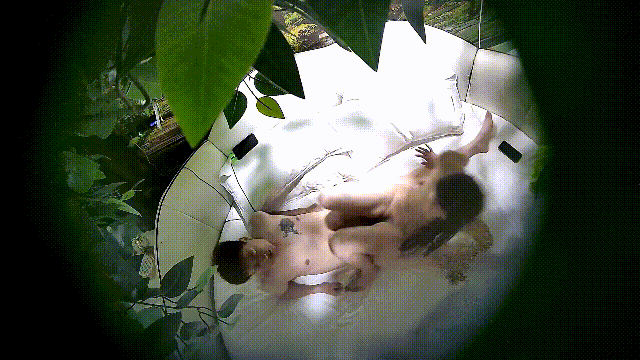 2.gif
