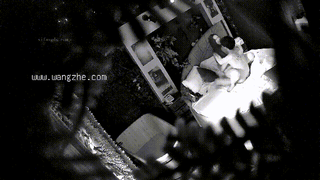 3.gif