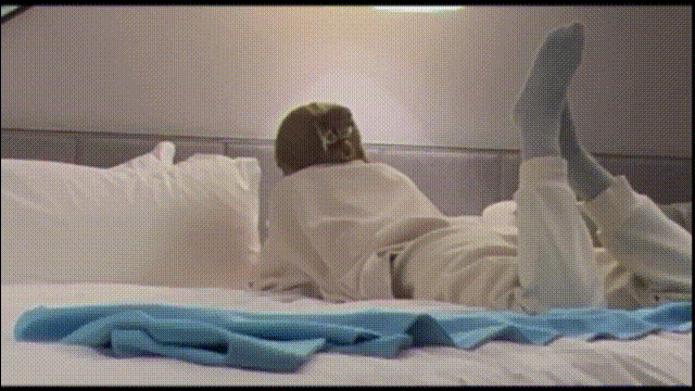 1.gif